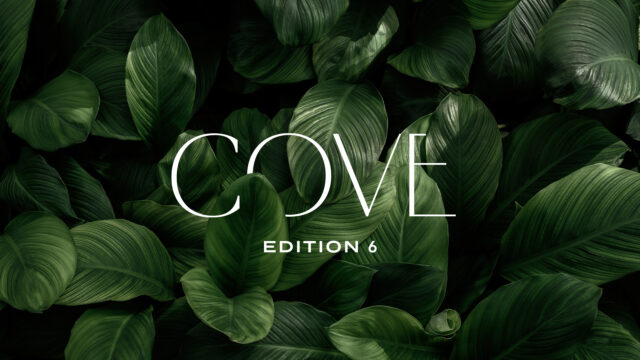 cove_img_0_0